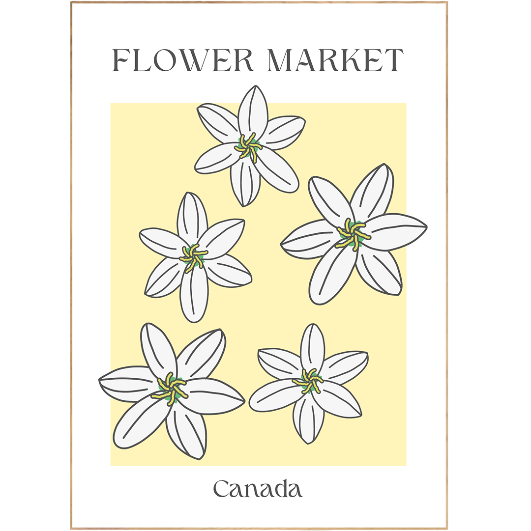 Create an inviting space with Canada 2 Flowers Market Print. From bedroom walls to kitchen art, find contemporary art prints and posters featuring original artwork. Buy unique graphics and wall art from our gallery wall shop, plus ideas to bring your living room walls to life. Express yourself.