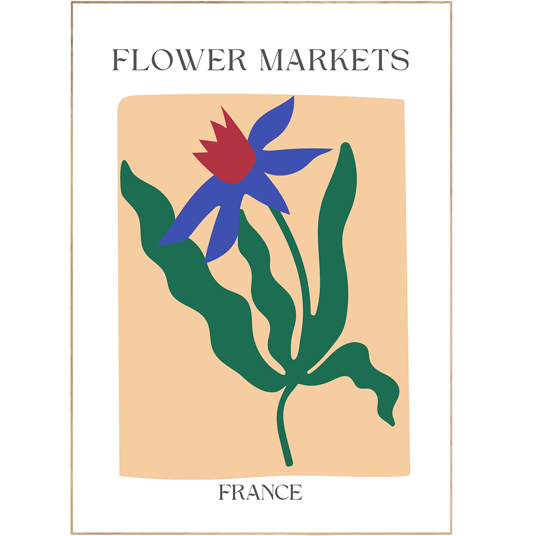 Bring a classic French flower market feel to your home with this beautiful Art Des Formes Courbes Poster. With its playful, colorful floral drawings, this gallery wall inspiration is the perfect way to brighten up any living room space. Matisse-like curved shapes blend with pastel shades for a Danish look that's sure to impress.