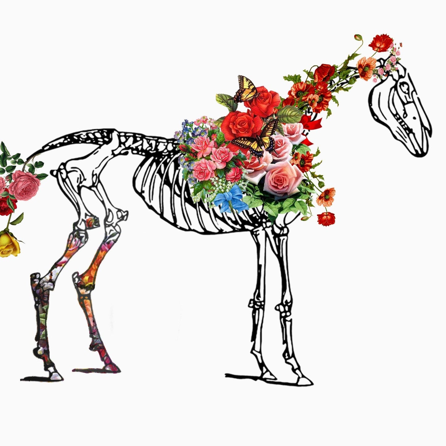Horse Skeleton Anatomical Flowers | Anatomical Body Print | Flower Art Print | Illustration Poster - 98types