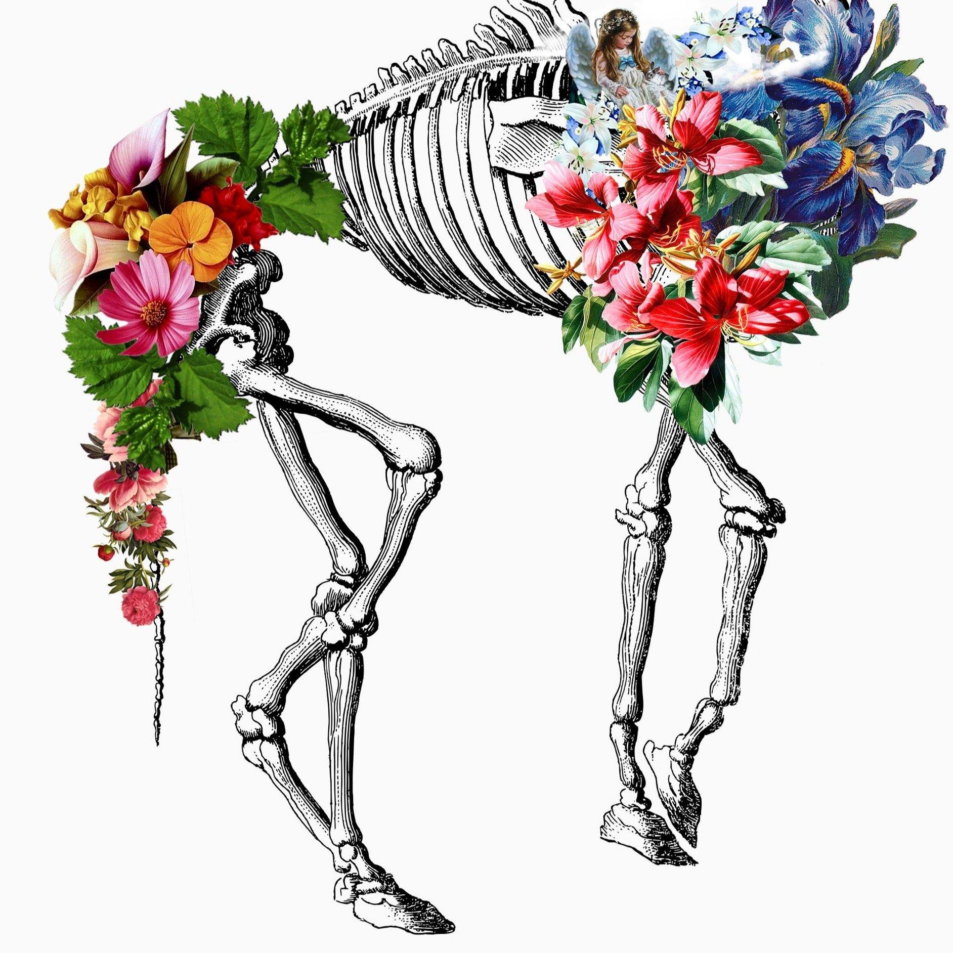 Camel Skeleton Anatomical Flowers | Anatomical Body Print | Flower Art Print | Illustration Poster - 98types