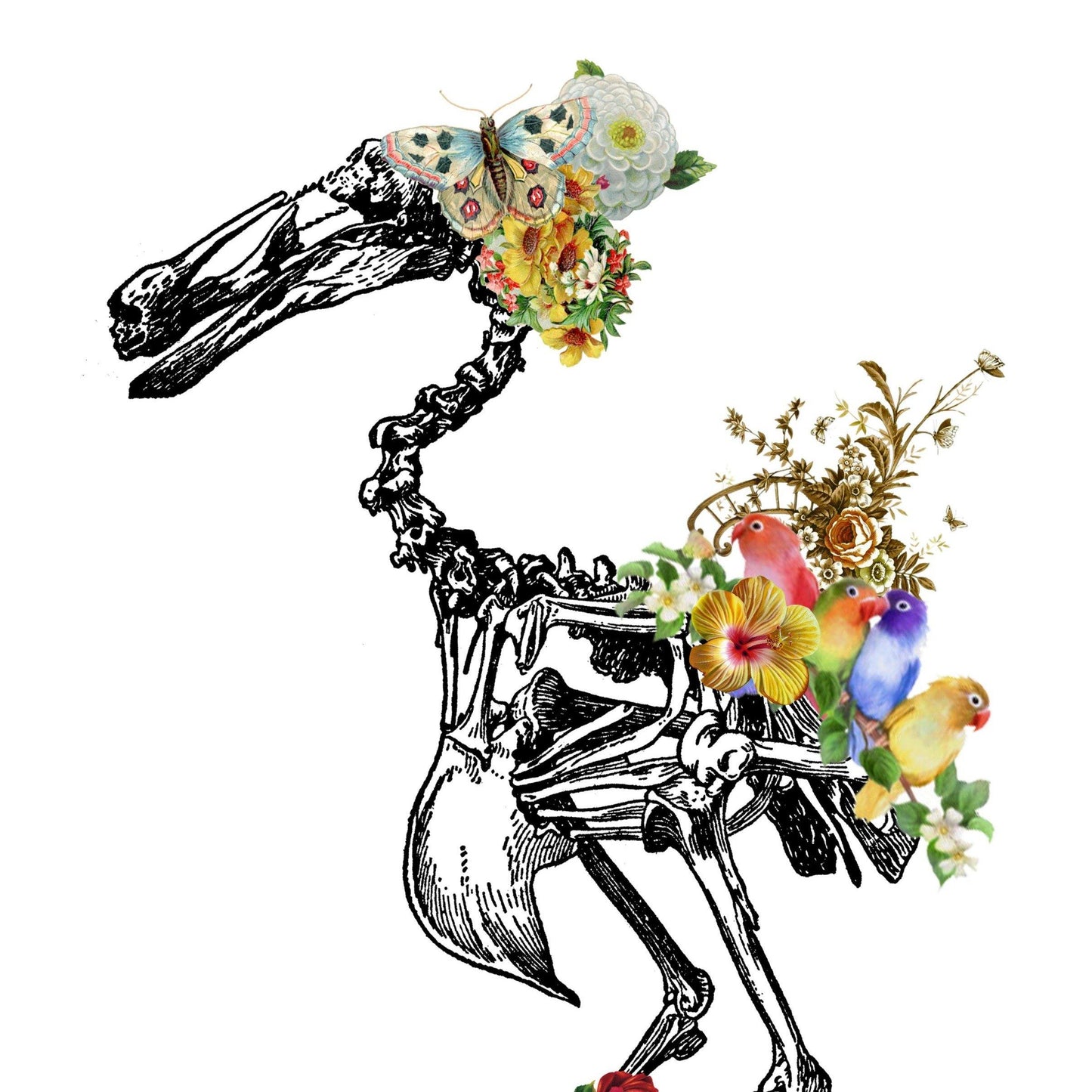 Duck Skeleton Anatomical Flowers | Anatomical Body Print | Flower Art Print | Illustration Poster - 98types
