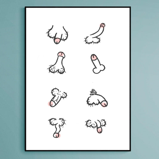 Penis Collection Poster - 98types