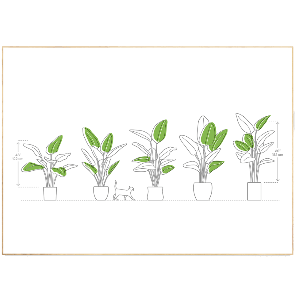 Plants types Line Art Print - 98types