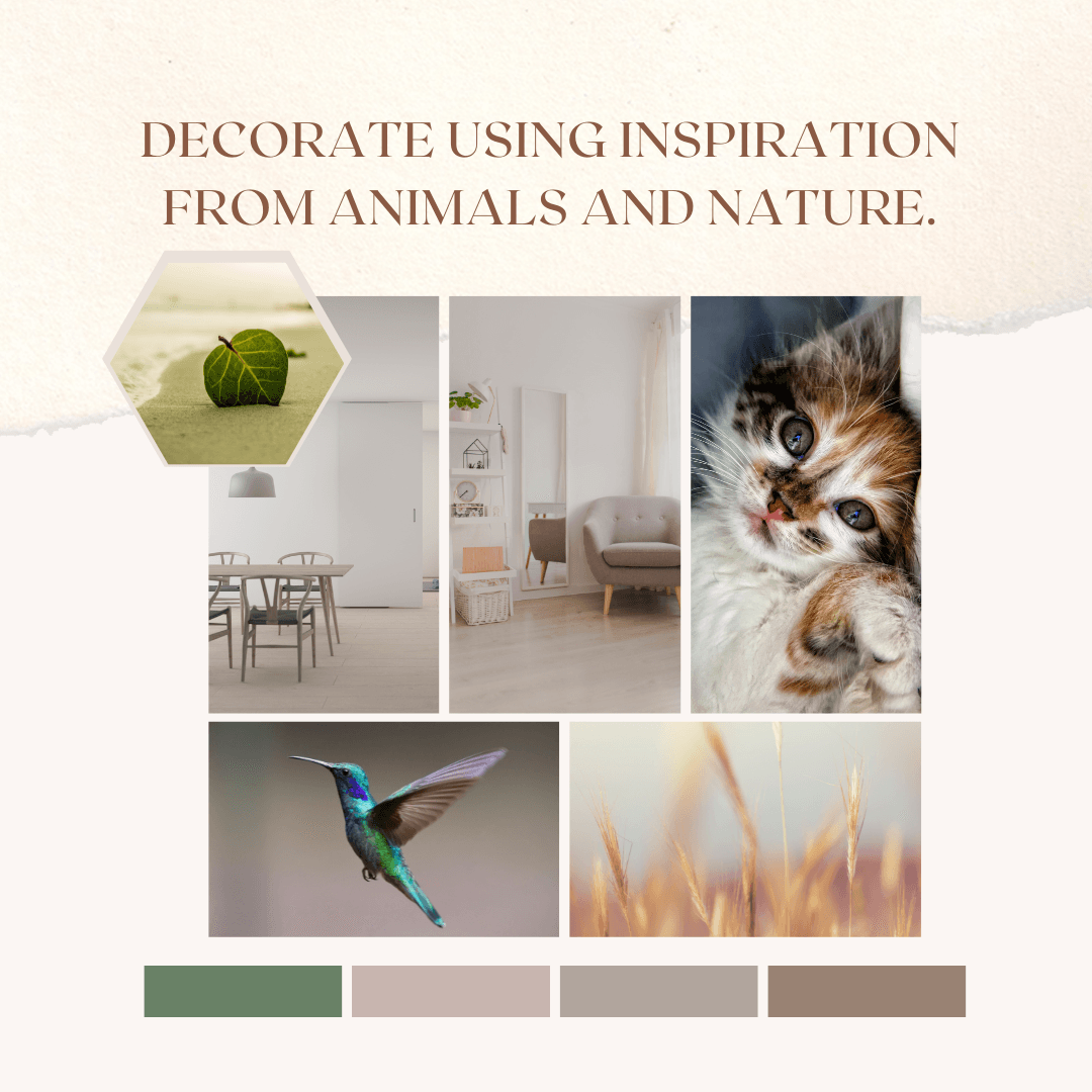 Decorate using Inspiration from Animals and Nature. - 98types