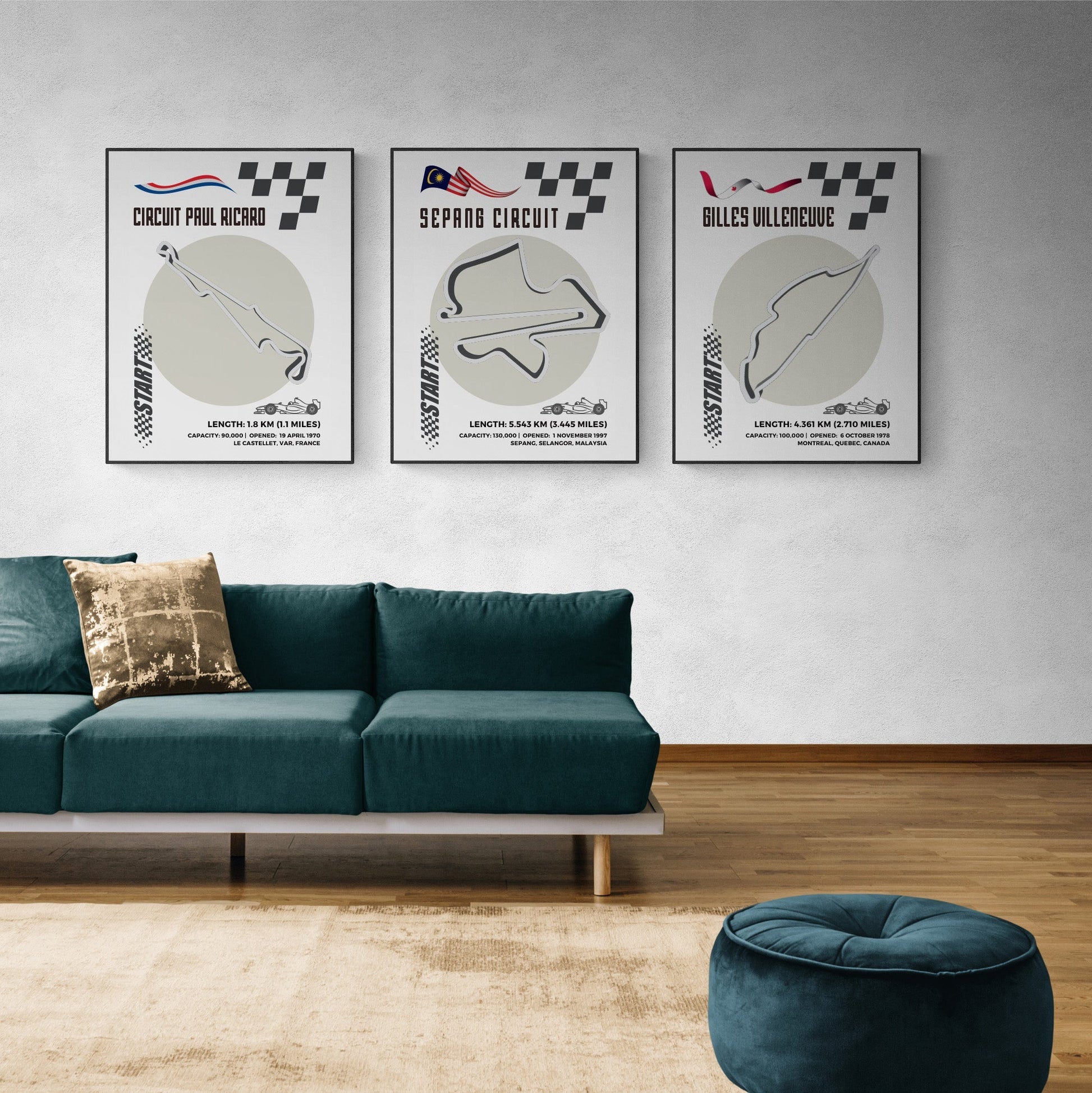 Create a dream wall for formula one enthusiasts with Circuit Paul Ricard F1 Posters. Featuring a detailed map of F1 racing tracks, each poster on matte premium paper showcases the circuit's history, construction year, country, and memorable moments. Add a "Formula One Poster" to complete the look. Made in the UK, these posters are age-resistant.
