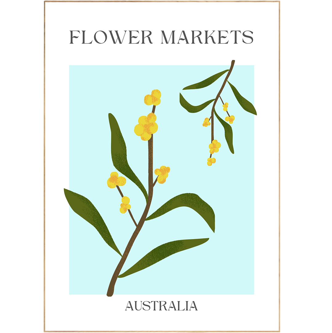 Featuring Australia Flowers Market Print, this poster offers an artful combination of shapes and forms to inspire your gallery wall. With its colorful floral drawing, this Matisse Art-inspired poster is sure to bring a touch of Danish pastel room decor to any home. The perfect addition for any flower market enthusiast!