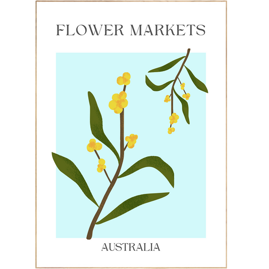 Featuring Australia Flowers Market Print, this poster offers an artful combination of shapes and forms to inspire your gallery wall. With its colorful floral drawing, this Matisse Art-inspired poster is sure to bring a touch of Danish pastel room decor to any home. The perfect addition for any flower market enthusiast!