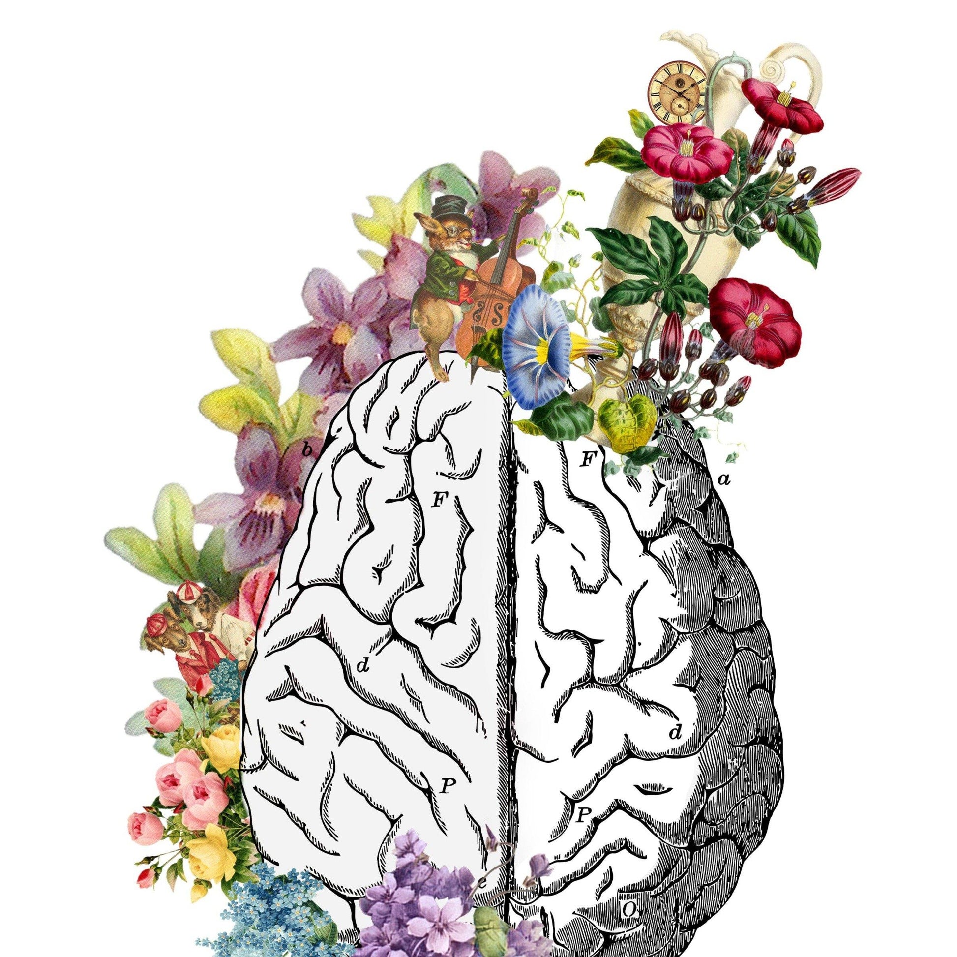 Anatomical Brain and Flowers | Anatomical Brain Print | Flower Art Print | Illustration Poster - 98types