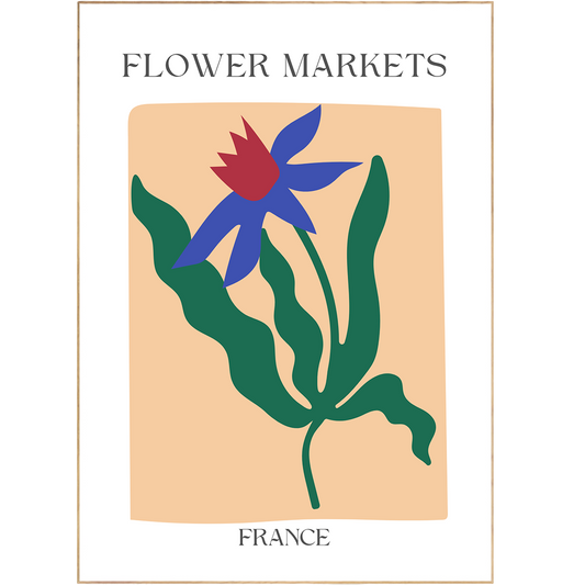 Bring a classic French flower market feel to your home with this beautiful Art Des Formes Courbes Poster. With its playful, colorful floral drawings, this gallery wall inspiration is the perfect way to brighten up any living room space. Matisse-like curved shapes blend with pastel shades for a Danish look that's sure to impress.
