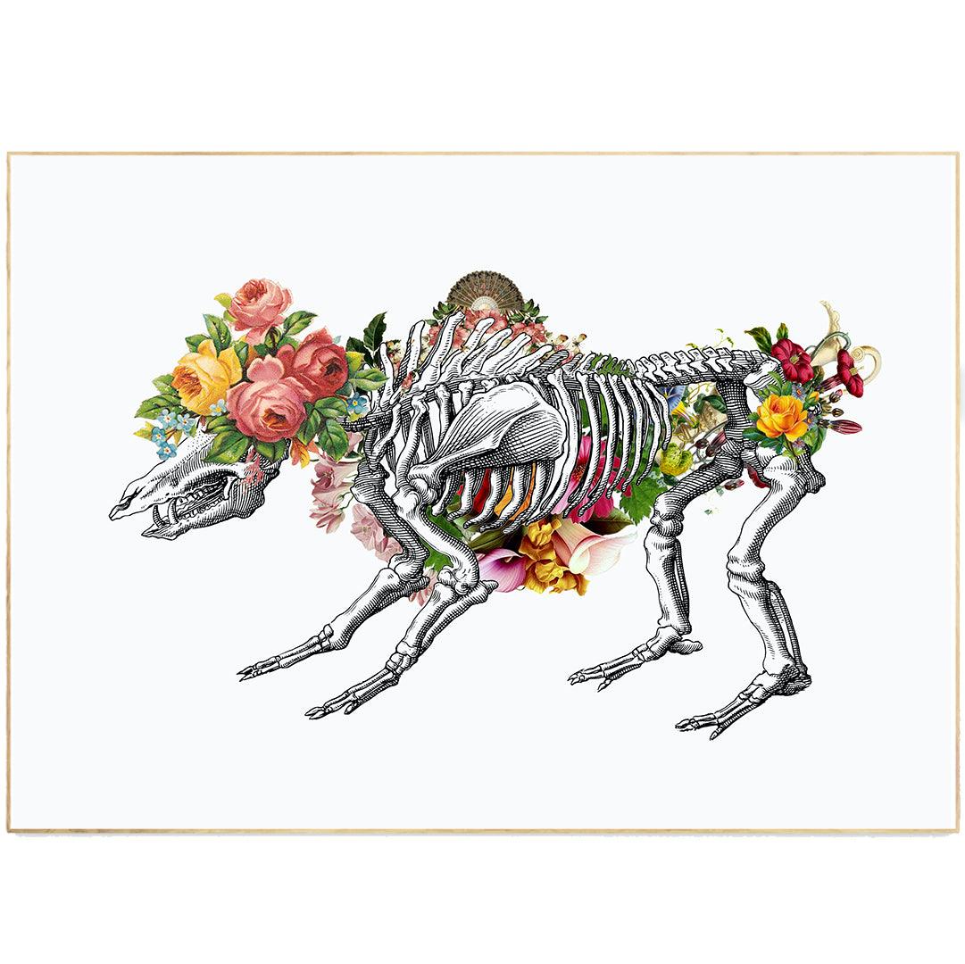 Lion Skeleton Anatomical Flowers | Anatomical Body Print