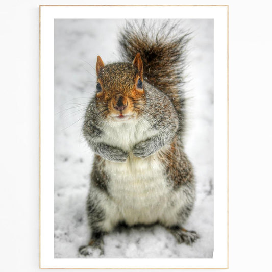 Travel to London Photos of London Fresh images london photography Little Squirrel Winter Hyde Park Poster This poster captures the beauty of London’s iconic landmarks and wintery Hyde Park, presented in high-resolution digital printing with a perfect matte finish. Enjoy incredible detail and vibrant colors from a quality print that lasts.