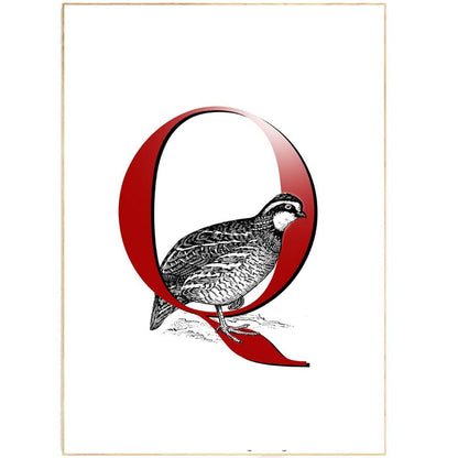 Quail Letter Q Print
