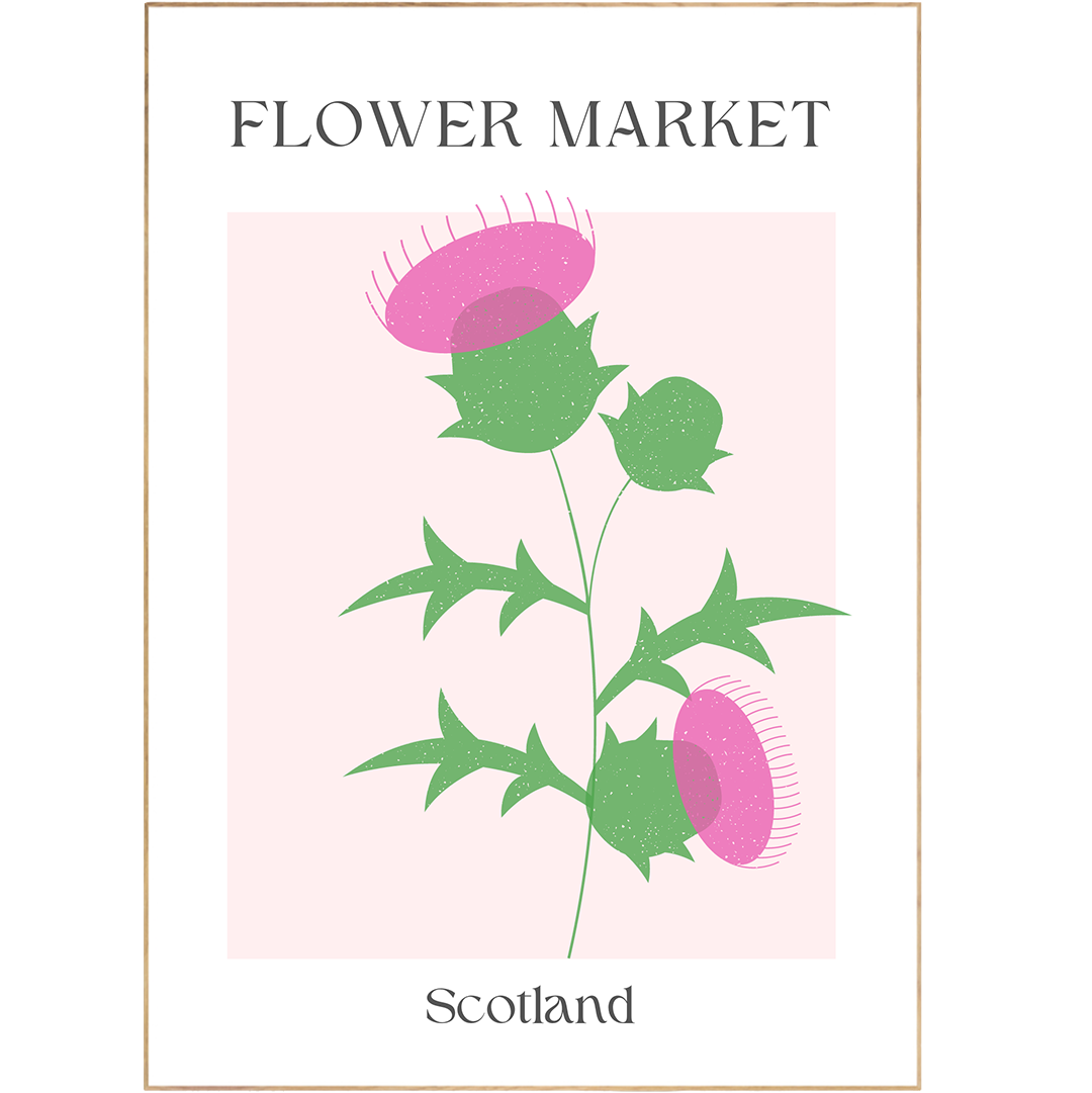 Add a touch of color to your home with this Scotland Flowers Market Print. Featuring intricate floral prints, vibrant colors, and a gallery wall inspiration, it will create a contemporary and stylish look. The poster is crafted with pastel room decor, Matisse Art prints and art des formes courbes in mind. An eye-catching piece perfect for any setting.