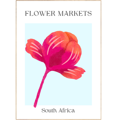 South Africa 2 Flowers Market Print - 98types
