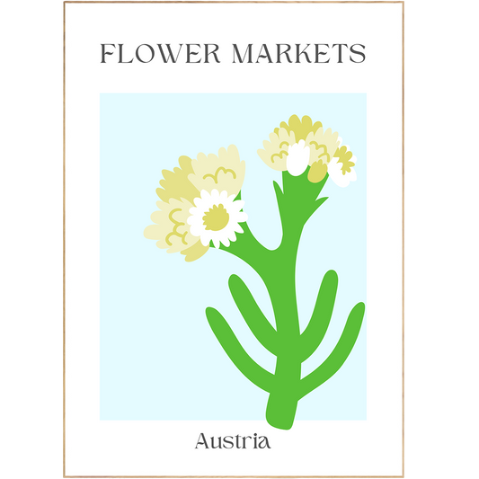 Inspire your decor with this Austria Flowers Market Print. Featuring trendy and beautiful pastel colors and abstract flowers, this print is designed to freshen up any space. With 98 types of prints, the Formes Colorées, Formes & Figures, and more let you customize your home shop poster to your own unique style.