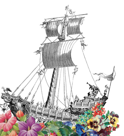 Boat Skeleton Anatomical Flowers | Anatomical Body Print | Flower Art Print | Illustration Poster - 98types