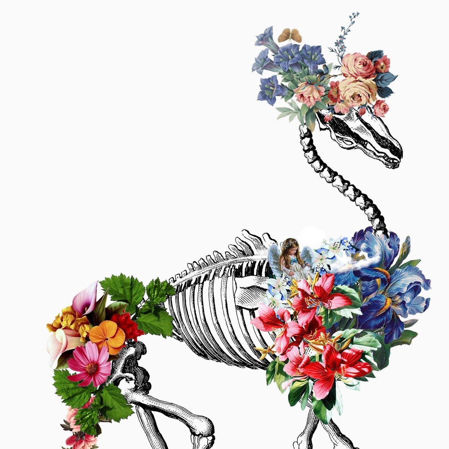 Camel Skeleton Anatomical Flowers | Anatomical Body Print | Flower Art Print | Illustration Poster - 98types