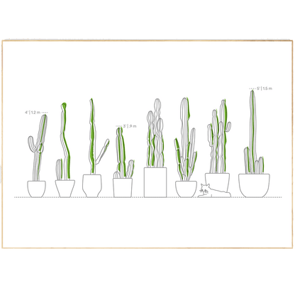 Plants types Line Art Print | Contemporary Minimal Wall Decor | Scandi Design Style