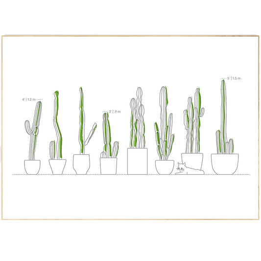 Plants types Line Art Print | Contemporary Minimal Wall Decor | Scandi Design Style