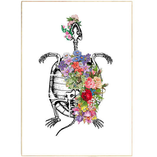 Tortoise Anatomical Flowers Print - 98types