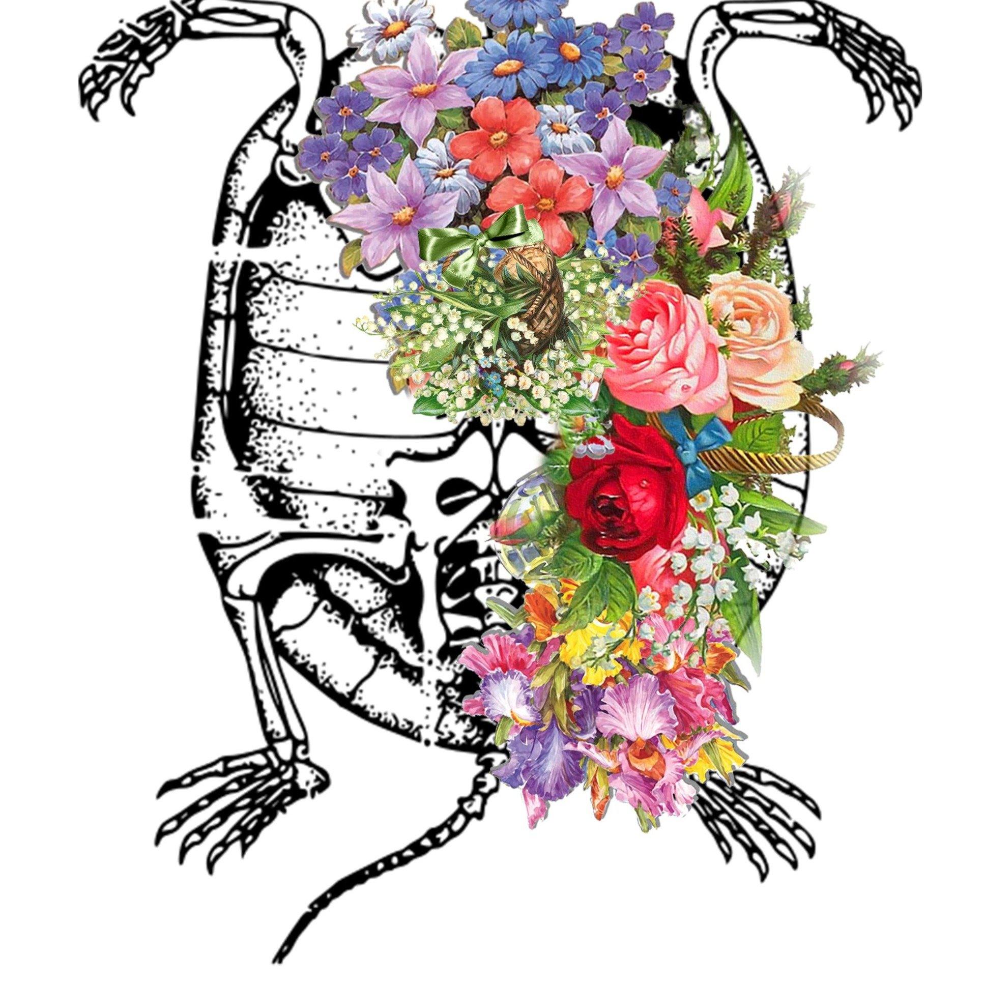 Tortoise Skeleton Anatomical Flowers | Anatomical Body Print | Flower Art Print | Illustration Poster - 98types