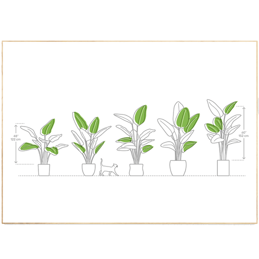 Plants types Line Art Print - 98types